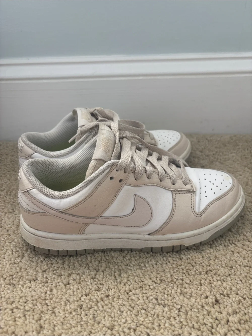 Nike Dunk Low Next Nature in 
